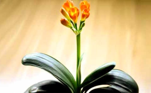 �N�����m������800��