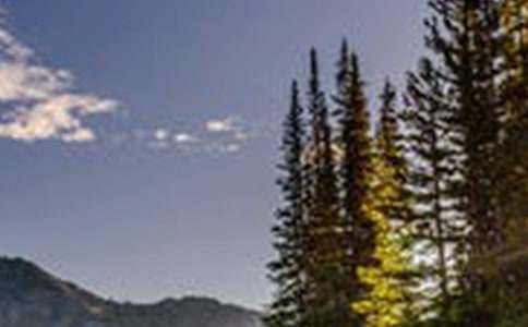 ��;���L(f��ng)������11ƪ