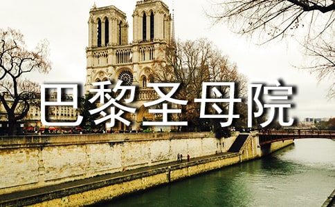 ����ʥĸԺ�x���Pӛ����15ƪ