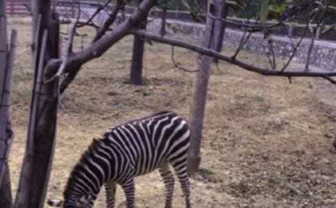 ���R��ǰ�ĸЄ�(d��ng)�r(sh��)������