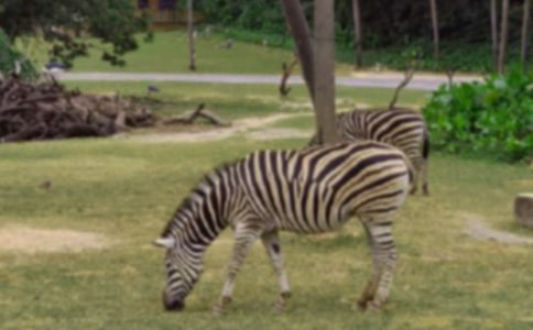 ����С���R�ֹ��ۼ��̳�