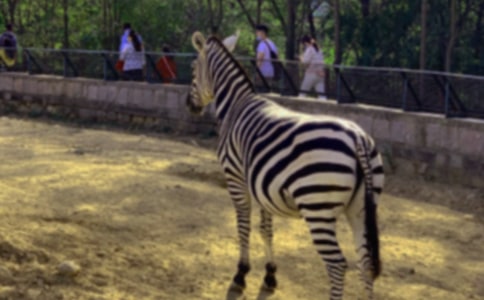 斑馬簡單的手工制作教程手工折紙