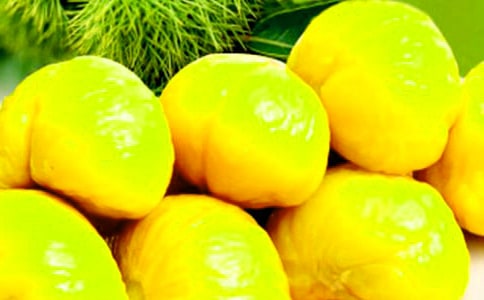 精選板栗作文500字合集10篇