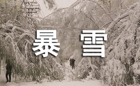暴雪天氣應(yīng)急預(yù)案范文
