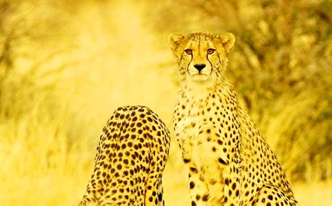 �������£������c����