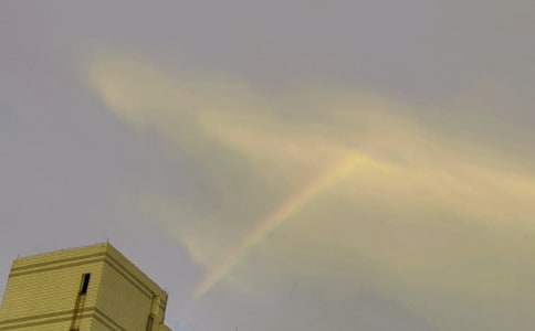 �������Ĳʺ硷�Ľ̌W�OӋ