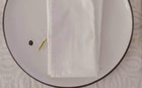 蝴蝶餐巾折法圖解