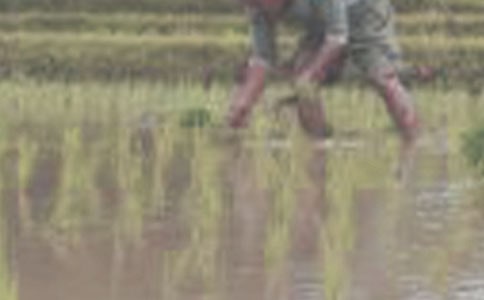 �P(gu��n)�ڲ�������600��23ƪ