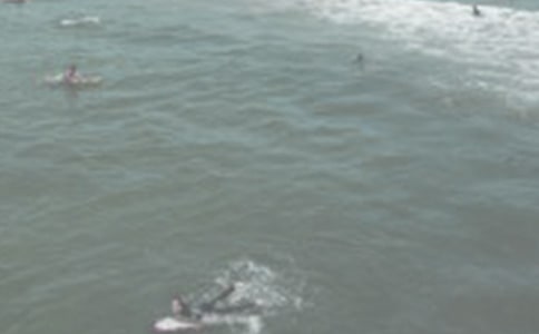 �_���w�C(j��)�۷��D��