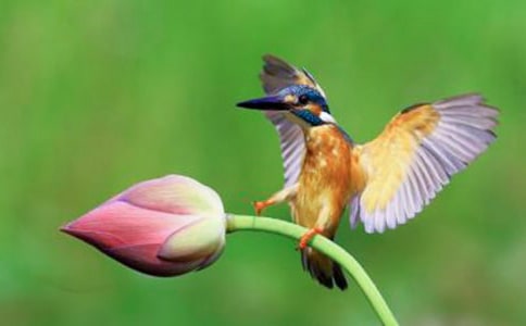 ���꼉�Z�ġ����B���̰�(�ϼ�15ƪ)