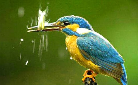 ���꼉�Z�ġ����B���f�n��