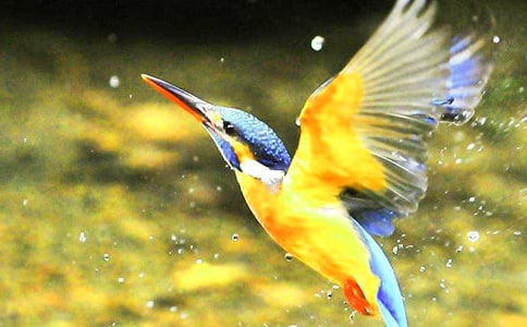 ���꼉�Z�ġ����B���Ľ̌W(xu��)�O(sh��)Ӌ��(y��u)�㷶��