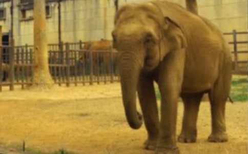 �����С�����ġ����]��