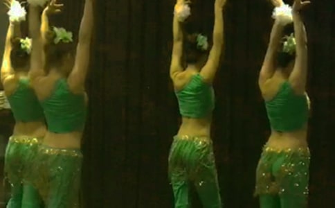 我國傣族的風俗初中說明文