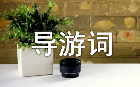 2020�������A�����~����