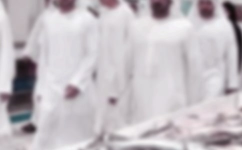 迪拜作文300字5篇