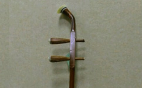 聆聽二胡琴聲小學(xué)作文400字