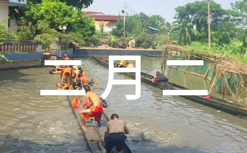 二月二的成長初一優(yōu)秀作文