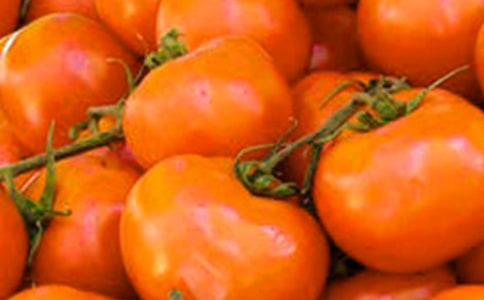 【推薦】番茄熟了作文