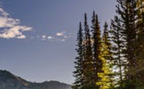 �L�������u�Z