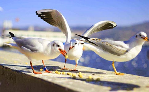 ���t�u�T܇����