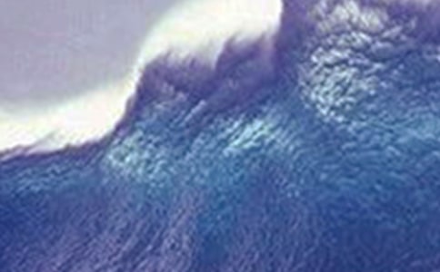 給海嘯災(zāi)民的一封信作文