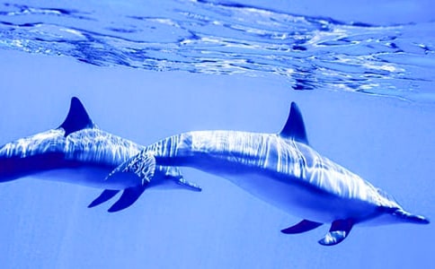 �а�ƌW(xu��)���౾�I(l��ng)��̰�