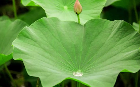 �����~ ĸ�H���Ľ̰���(n��i)��