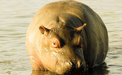 ��ͨ���R���۷�