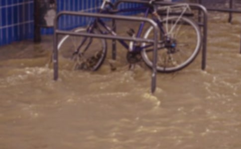 洪水過后作文(精選22篇)