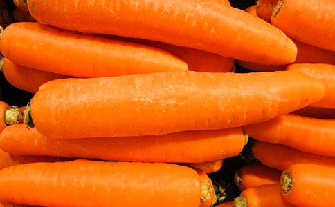 續(xù)寫胡蘿卜先生的長胡子作文(精選34篇)