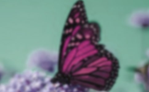 �����Ć��l(f��)����