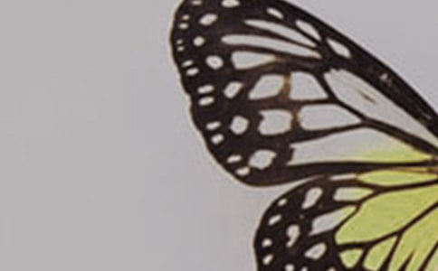 ���_(t��i)���ĺ����ȡ��ڶ��n�r(sh��)�̌W(xu��)�O(sh��)Ӌ(j��)����