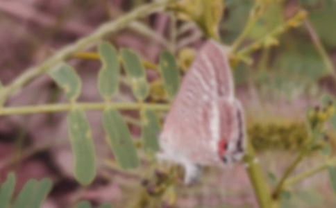 �����������̎�����Ɣࡷ��x�𰸼��p��