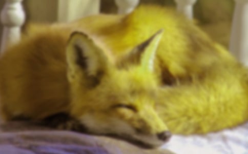 ����ͯԒ���£��Ǻͺ�؂