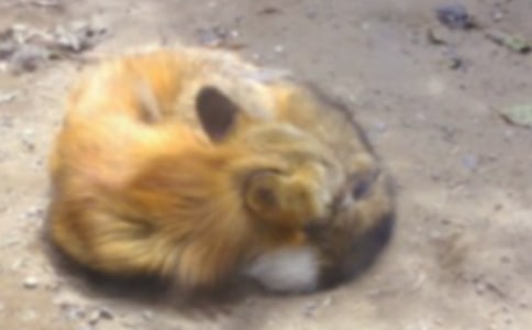 ��؂�͞��f�Ĺ�������[��(sh��)��15ƪ]