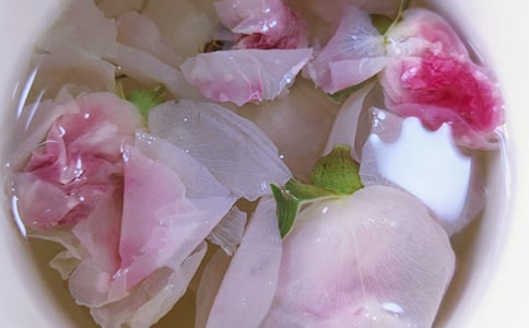 泡菊花茶作文500字(精選13篇)