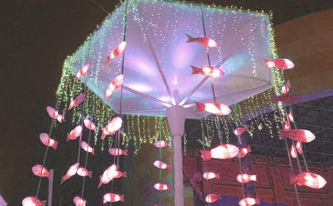 �B�T�������҂�����