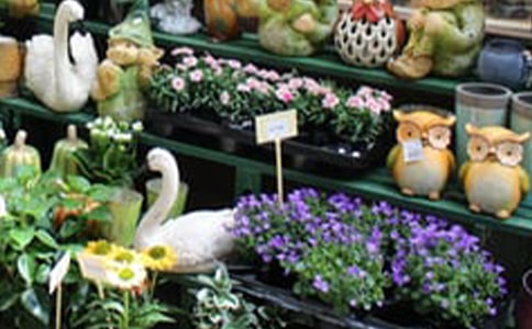 大學生花店創(chuàng)新創(chuàng)業(yè)項目計劃書