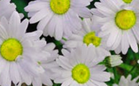 ���x���䃞(y��u)������ժ�46�l