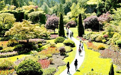 �����˵Ļ��@���̌W(xu��)�O(sh��)Ӌ����15ƪ