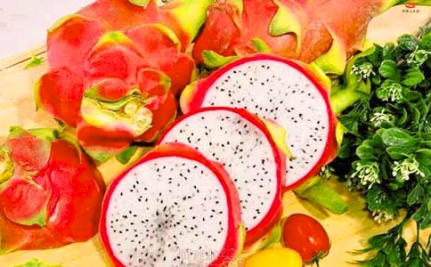 ��ϲ�g����������[�؂�]