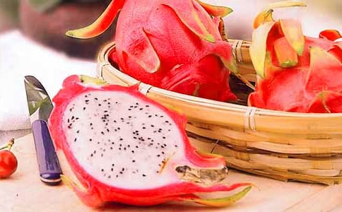 火龍果小學作文15篇