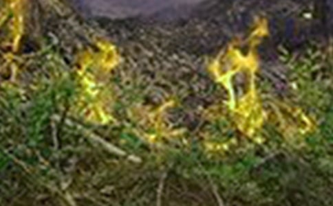 ���A(y��)�����(z��i)�����c(di��n)�����𡷽̌W(xu��)�O(sh��)Ӌ(j��)