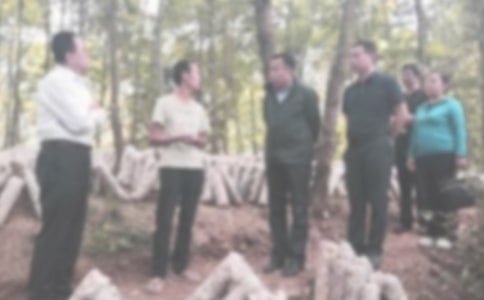 年度紀(jì)檢工作計劃合集8篇