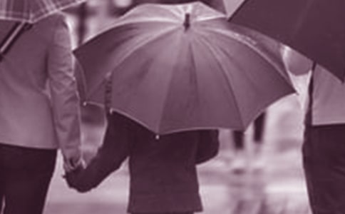 �H�ӹ����L(zh��ng)��ͥ������(b��o)��W(xu��)��(x��)�ĵ�(6ƪ)