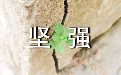 �P(gu��n)�ڈԏ��������Ӵ�ȫ�����x50�䣩