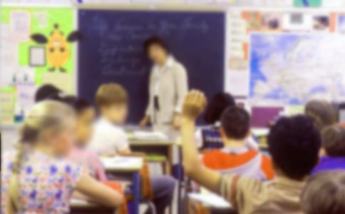 �Ǹɽ̎���(g��)������(b��o)�淶��ģ��