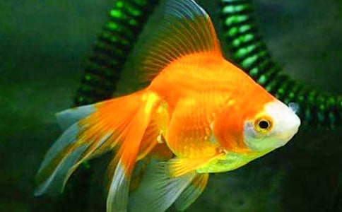 (����)�Ұl(f��)�F(xi��n)�˽��~����������15ƪ