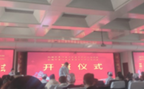 信息技術(shù)2.0開班儀式簡報范文(精選7篇)